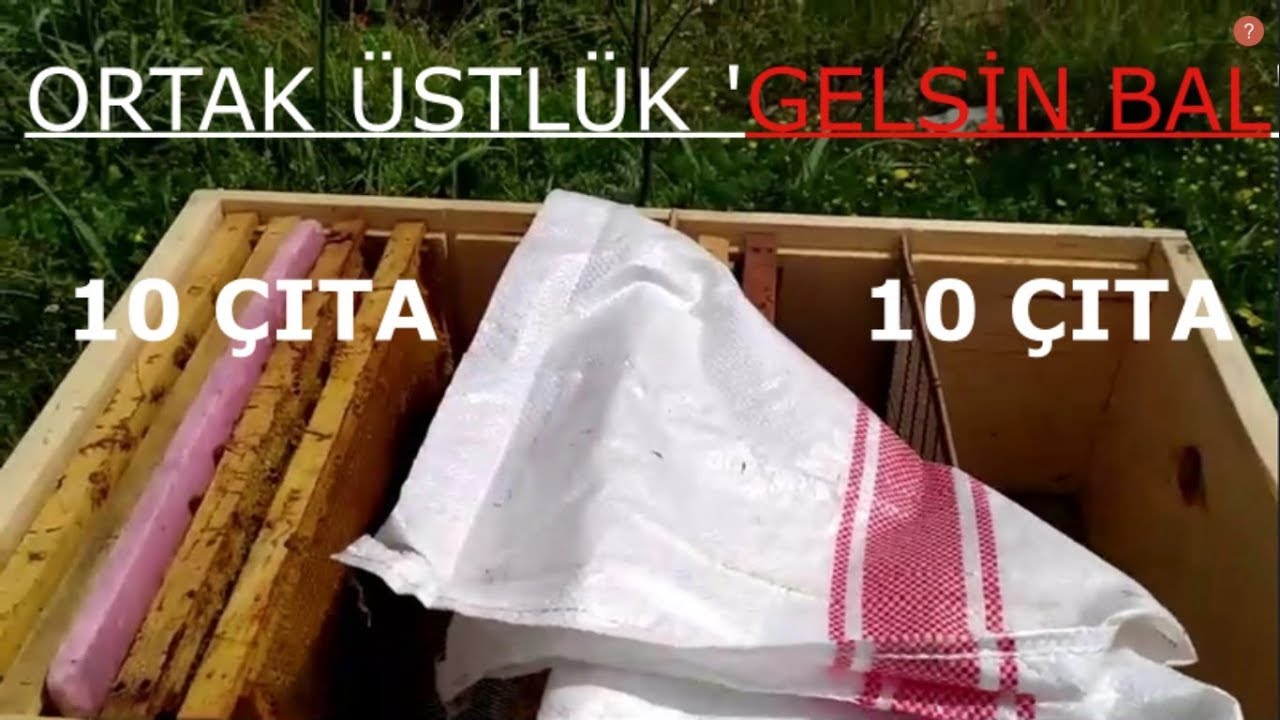 Kaliteli Ana Yüzüğü Ve 10+10+ballık sestemi.