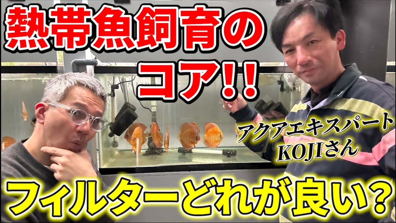 【濾材】アクアエキスパートが答えます！ディスカス飼育のフィルター・ろ材について徹底討論！