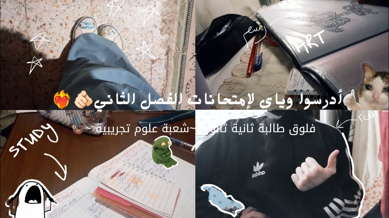 •مدونة فلوق طالبة ثانوي تدرس لامتحان الأدب العربي🫂💗...{أدرسوا معي لإمتحانات الفصل الثاني!}