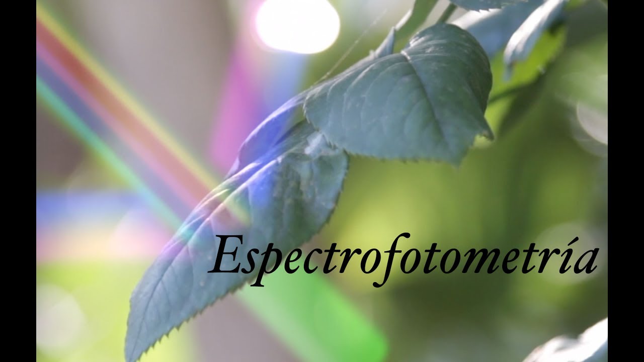 Técnicas básicas en Bioquímica: espectrofotometría