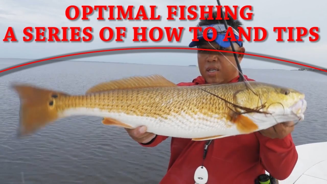 How to fish the flats for redfish, snook and trout