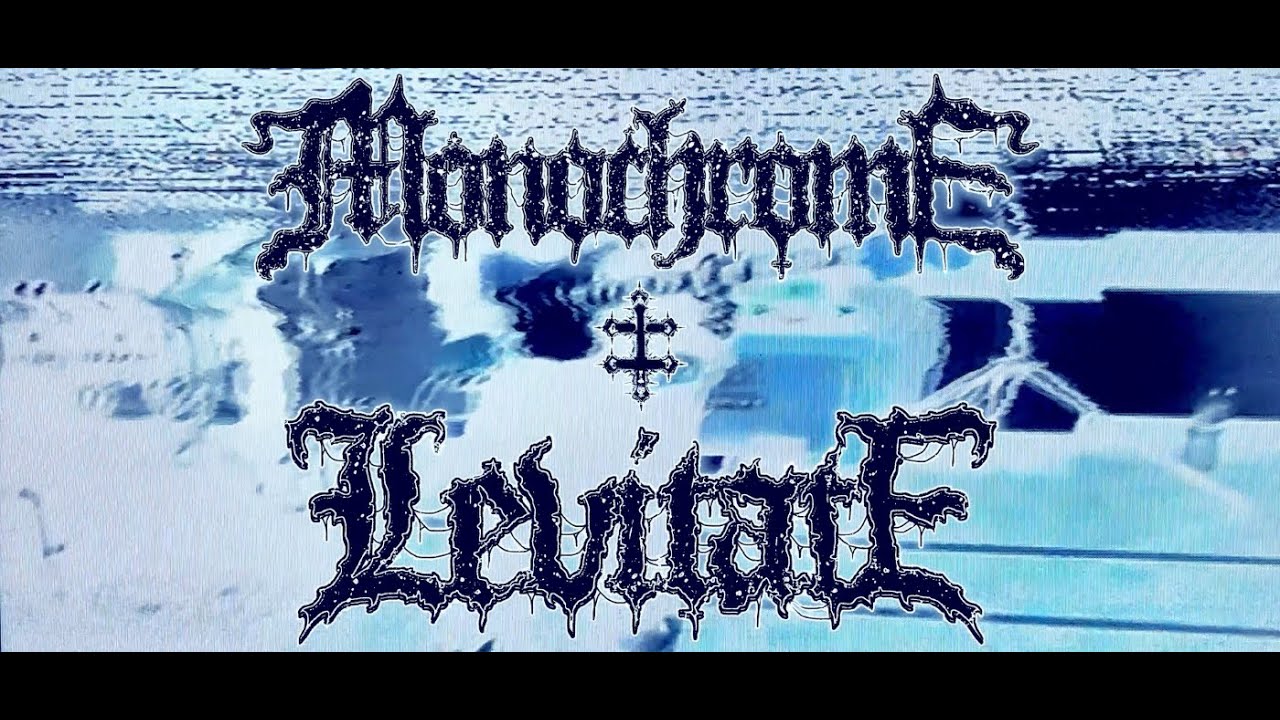 Monochrome - Levitate (Official Music Video)