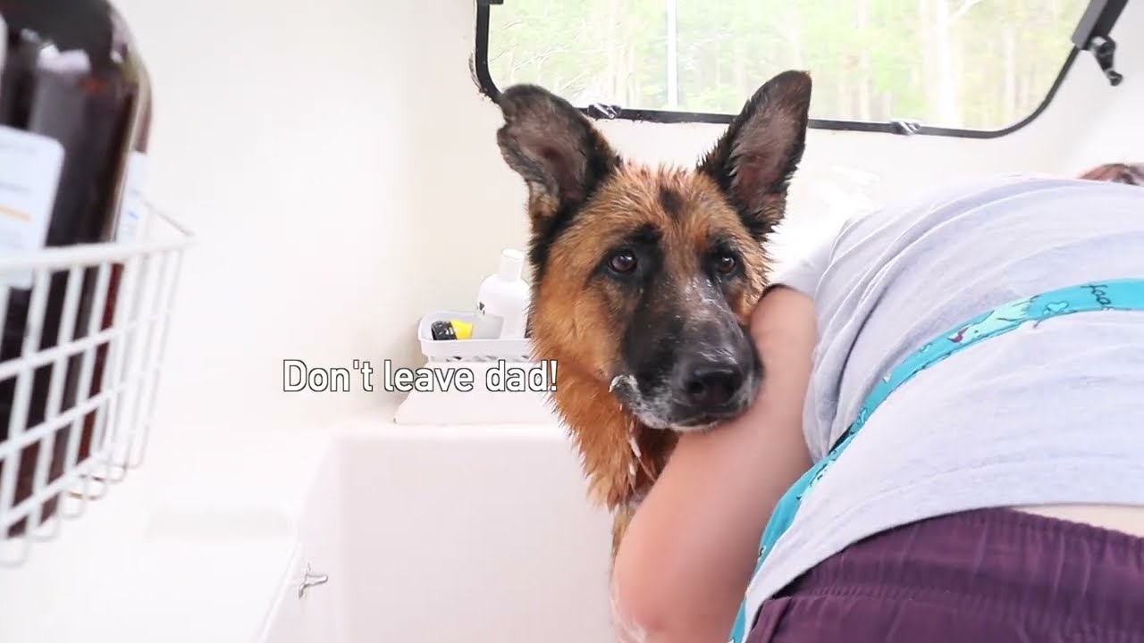 Lilly has a turn in the Mobile Salon!