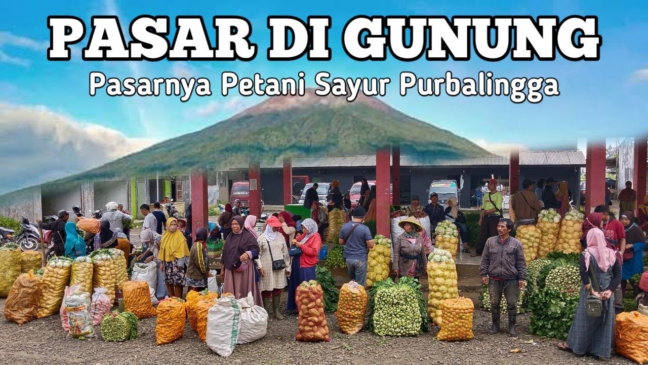 Murah dan fresh banget❗Sayur baru panen langsung di bawa ke pasar ini