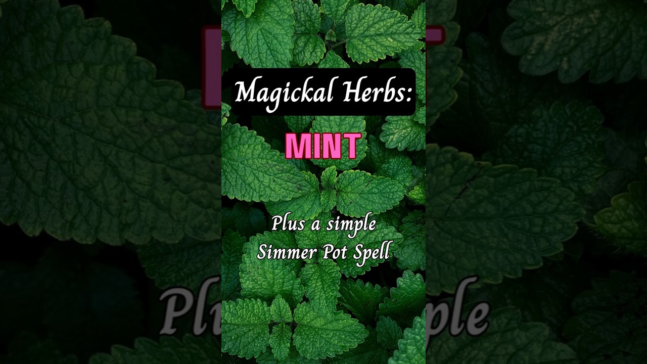 🌿 Magickal Herbs: Mint &mdash; Correspondences, Spells & Witchcraft Uses + A Simple Simmer Pot Spell