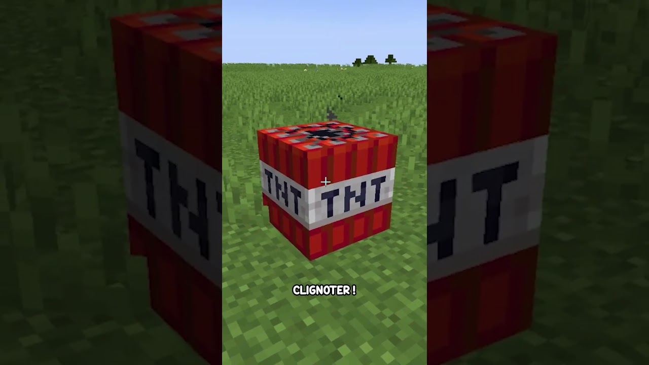 Essaie ces Astuces Minecraft !