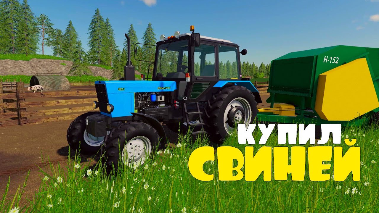 Купил Первых СВИНЕЙ. FS19.
