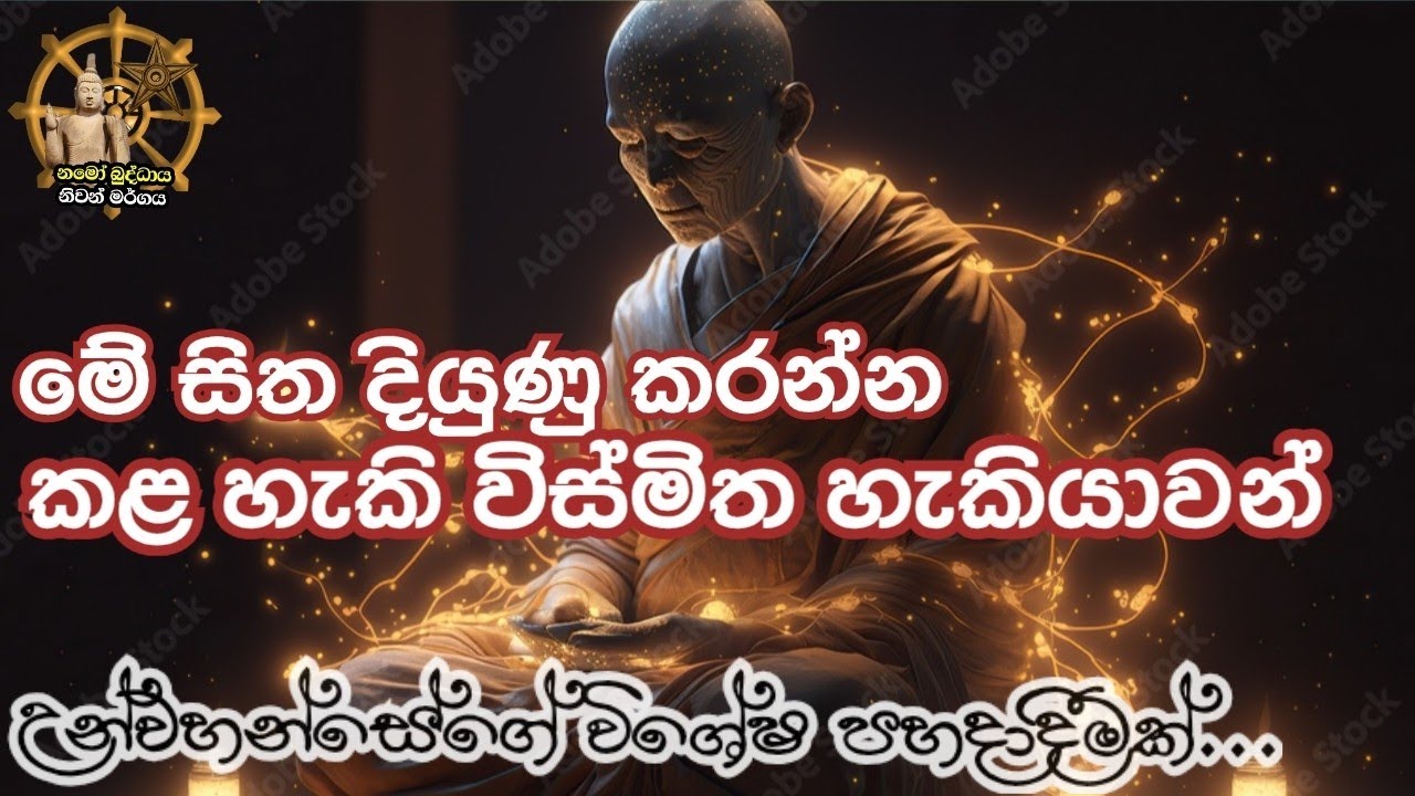 මේ සිත දියුණු කළොත් කළ හැකි විශ්මිත හැකියාවන් පිළිබඳ සාකච්ඡාව