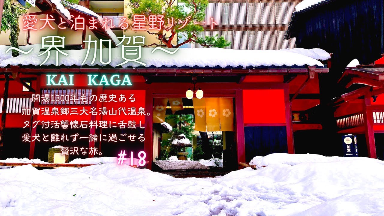 【愛犬と旅行】愛犬と泊まれる星野リゾート〜界加賀KAIKAGA〜開湯1300年もの歴史ある加賀温泉郷三大名湯山代温泉。タグ付活蟹懐石料理に舌鼓し愛犬と離れずに一緒に過ごせる贅沢な旅。