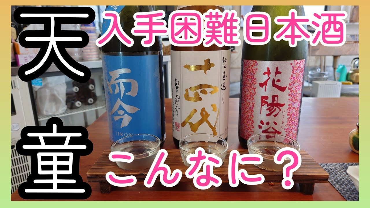 天童ひとりぶらり【どこかにビューーン】【昼飲み🍻】旅