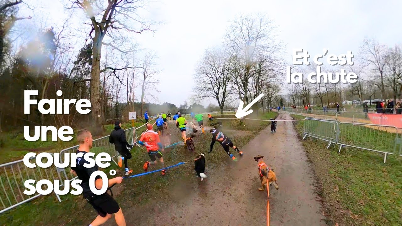 Cani Cross Ouest France !