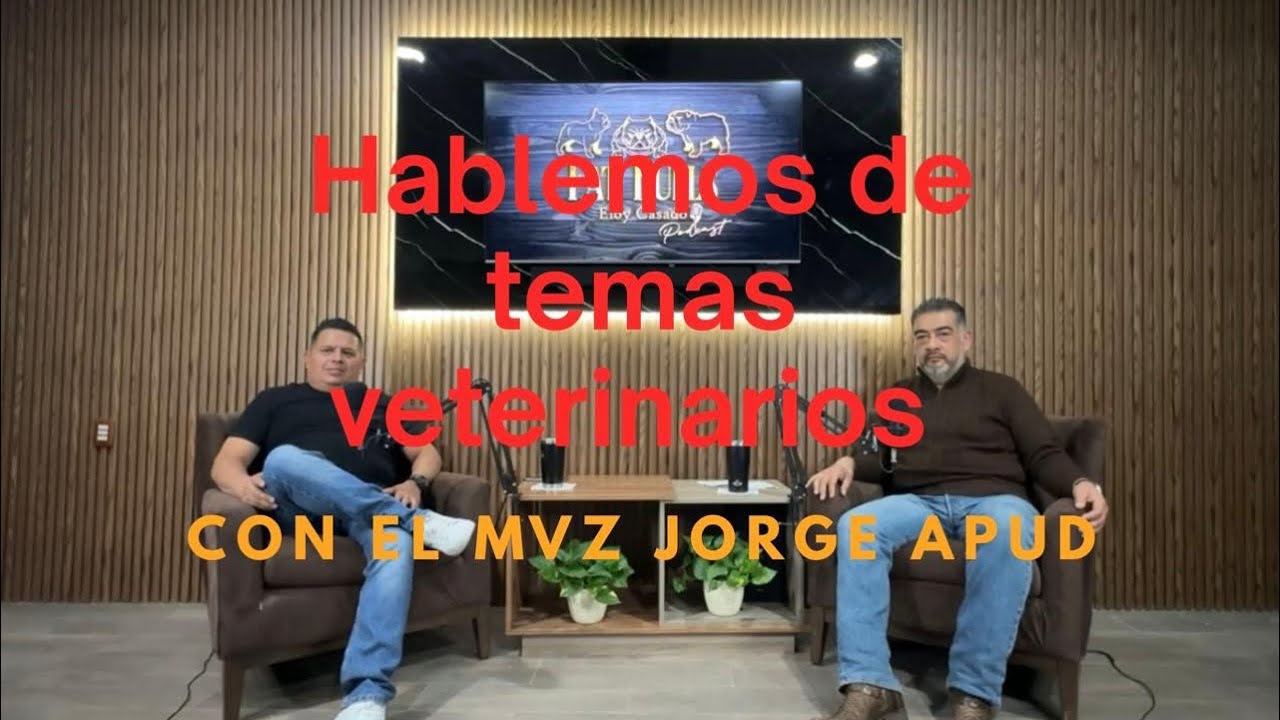 MVZ Jorge Apud Balbuena en 🎙️FATBULLS🎙️