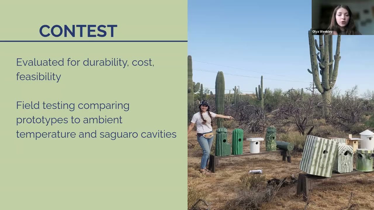 Building Homes for Desert Purple Martins with Olya Weekley