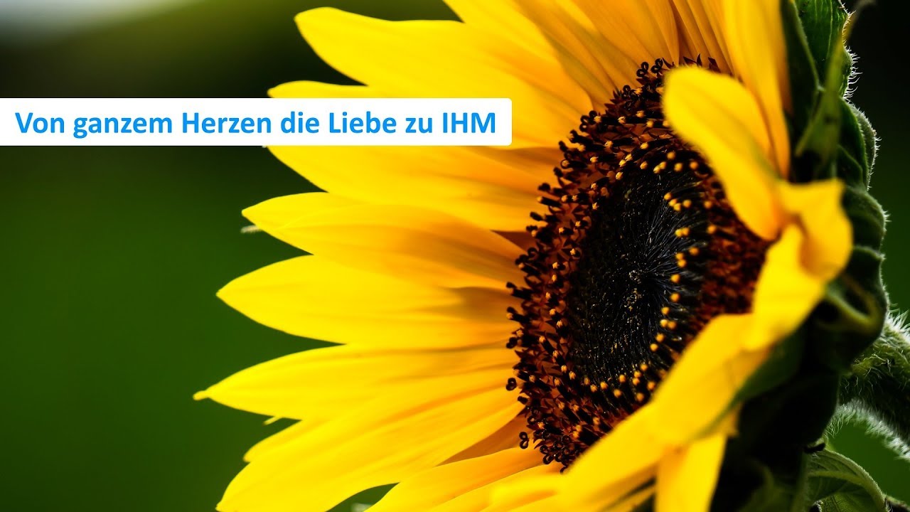 Aus ganzem Herzen: die Liebe zu IHM - Karl-Hermann Kauffmann