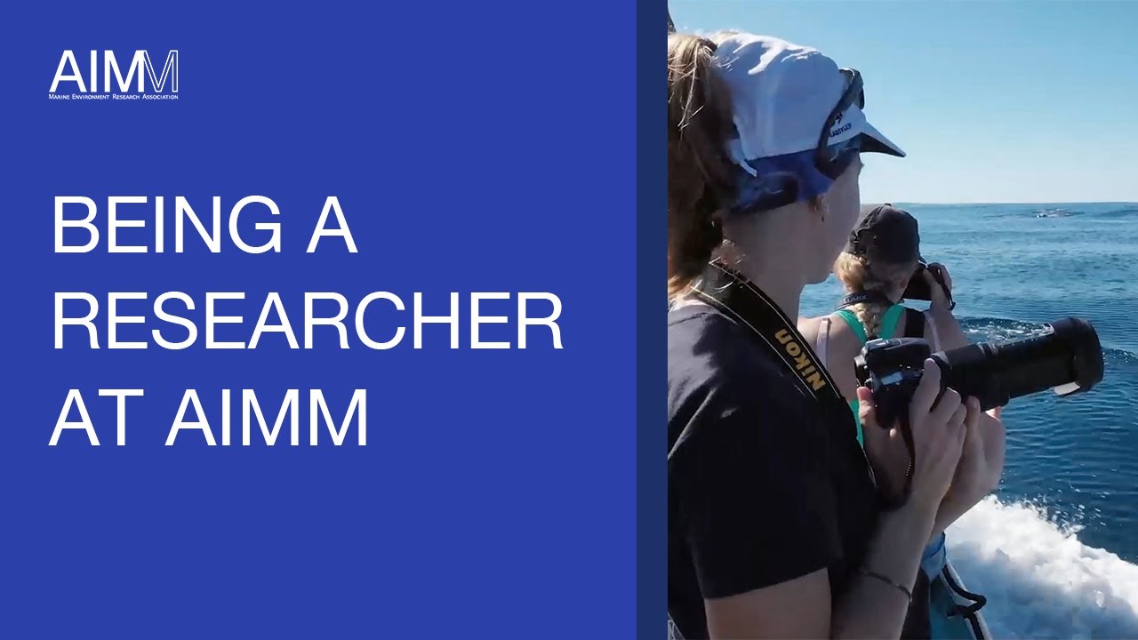 Being a Marine Researcher at AIMM
