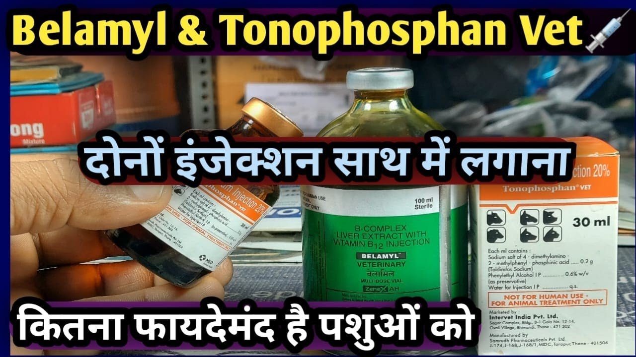 Belamyl & Tonophosphan Vet injection दोनों इंजेक्शन का साथ में उपयोग पशुओं में👉फायदेमंद