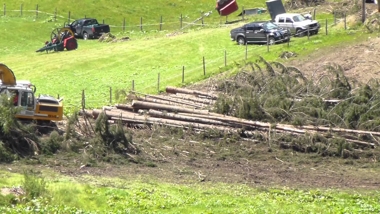 Holzbringung aus Extremgelände