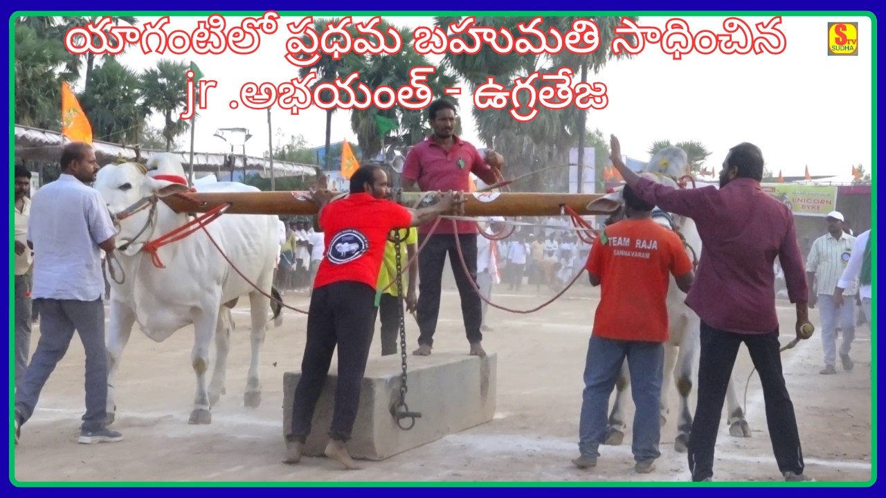 కాసన్నేని రాజాచౌదరీ &వల్లభనేని మోహనరావు గారి jr అభయంత్ - ఉగ్రతేజ||యాగంటిలో ప్రధమ బహుమతి సాధించిన జత|