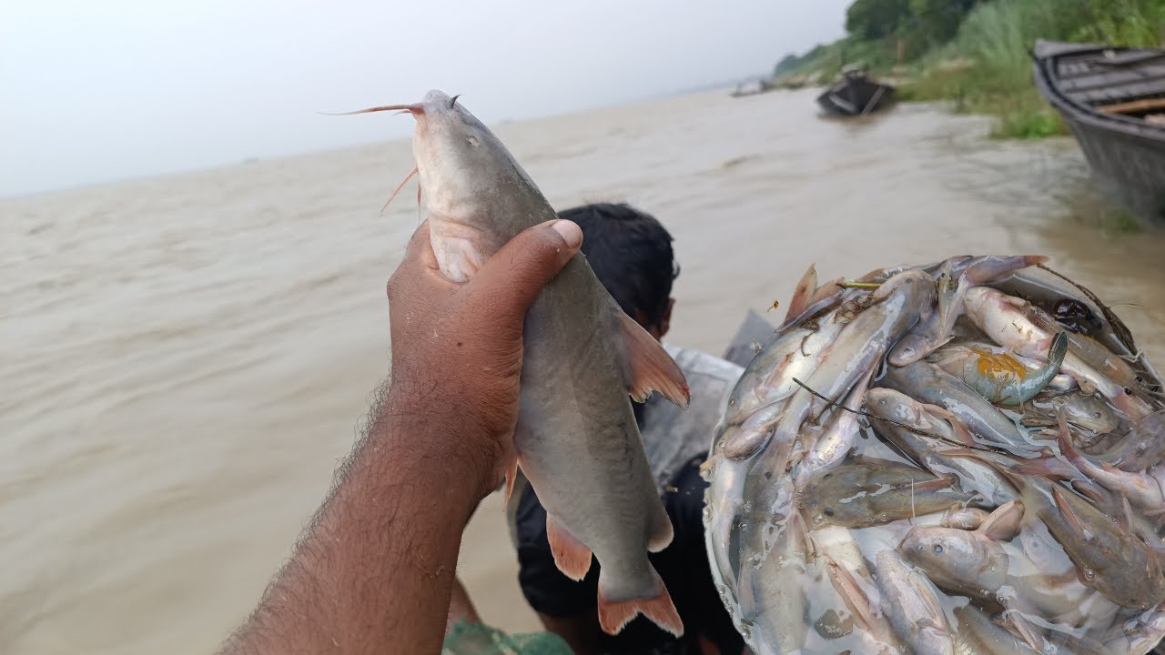 ইঠে আর ইঠে মাছ, পদ্মা নদীতে মাছ শিখার || PV || Padma Vlogs || পদ্মা ভুলগ