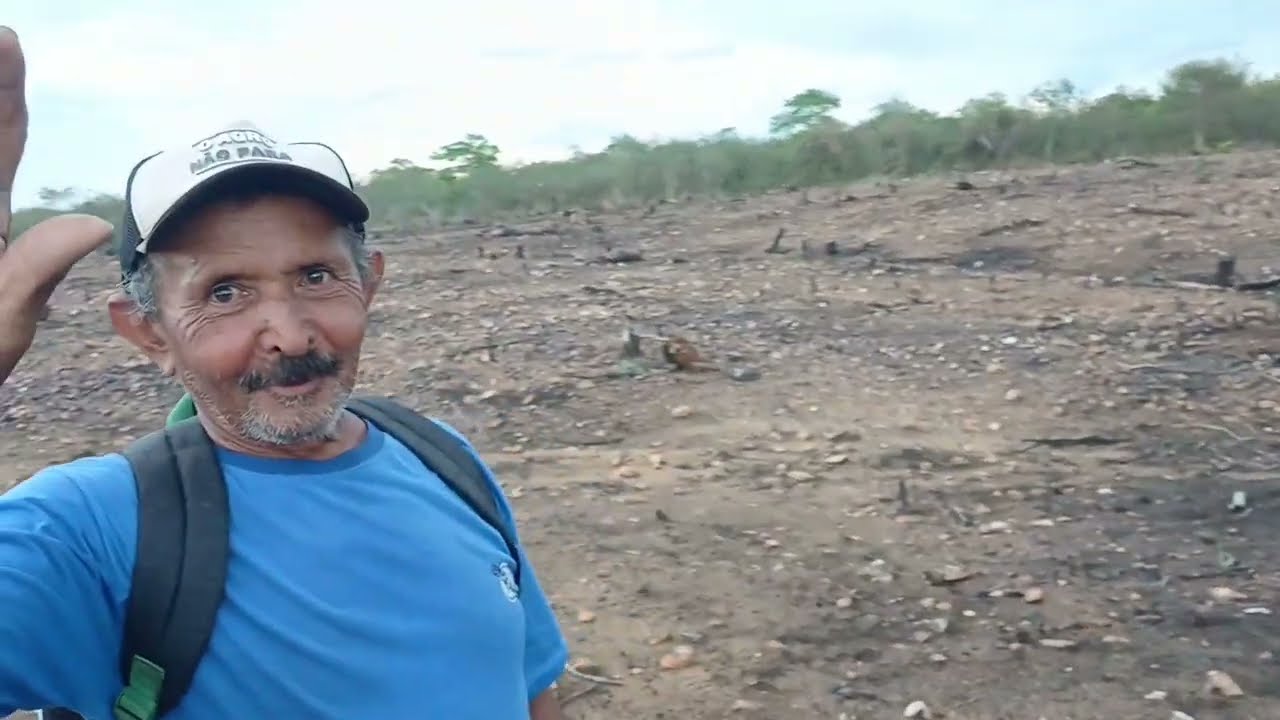 fui na roça ver  se o milho e o feijão tinha nascido bem e graças a Deus nasceu bem de mais .😄