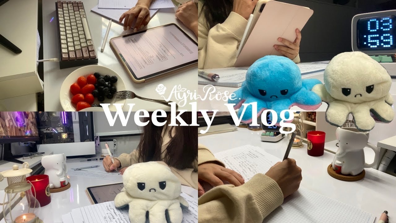 72 Hours Productive Study Vlog 📎 2am late night studying, cramming for finals, lots of snacks