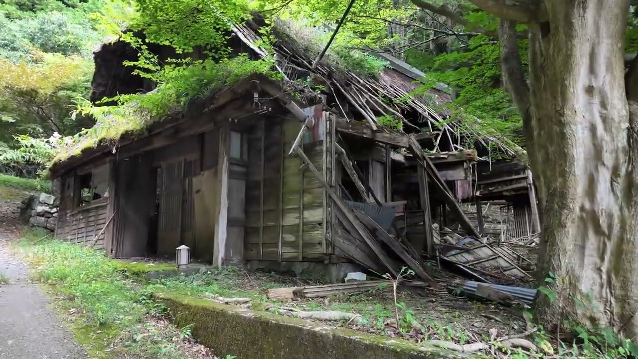 A hidden time portal!  Shoji, Yamanashi, Japan.