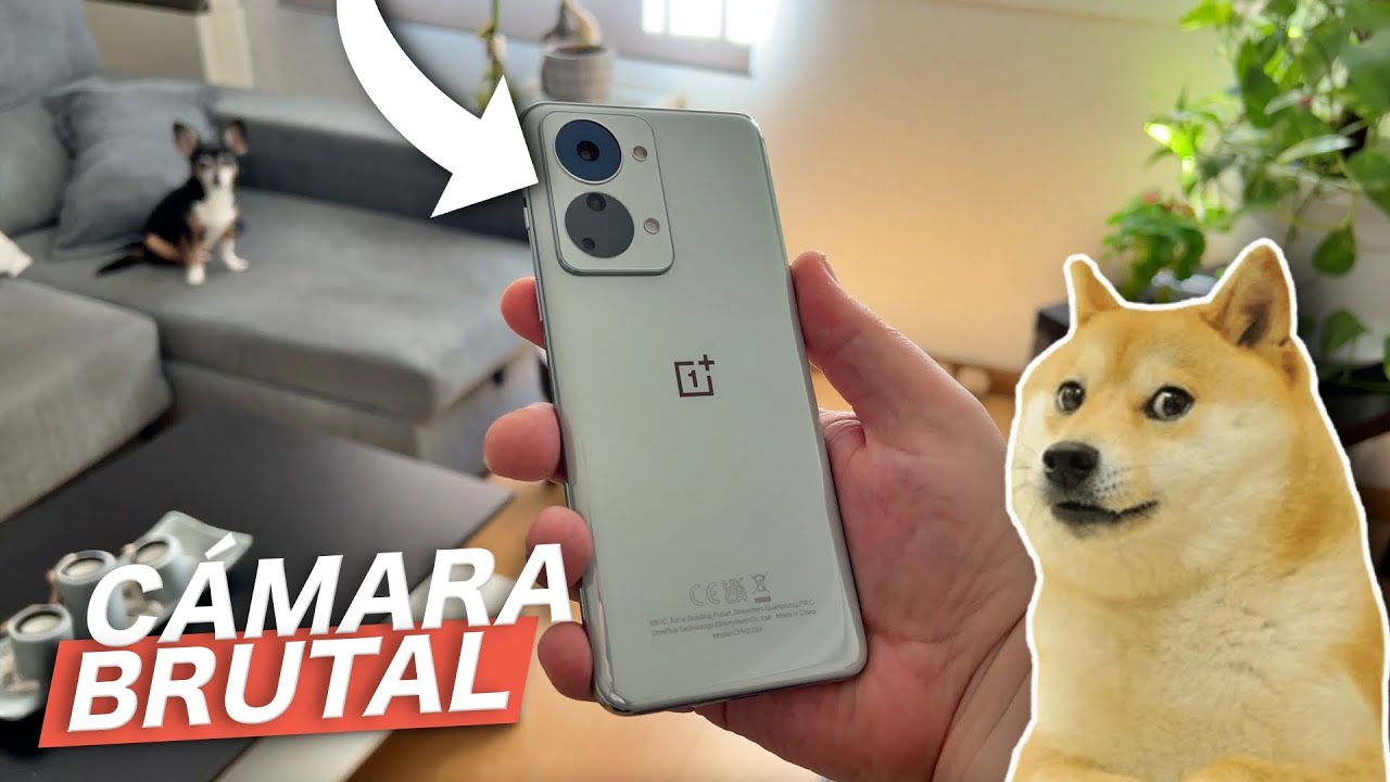 OnePlus Nord 2T REVIEW, DESTROZA la gama media