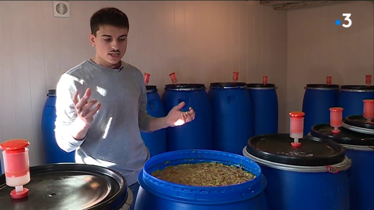 Le blanc de kiwi BIO sur France 3
