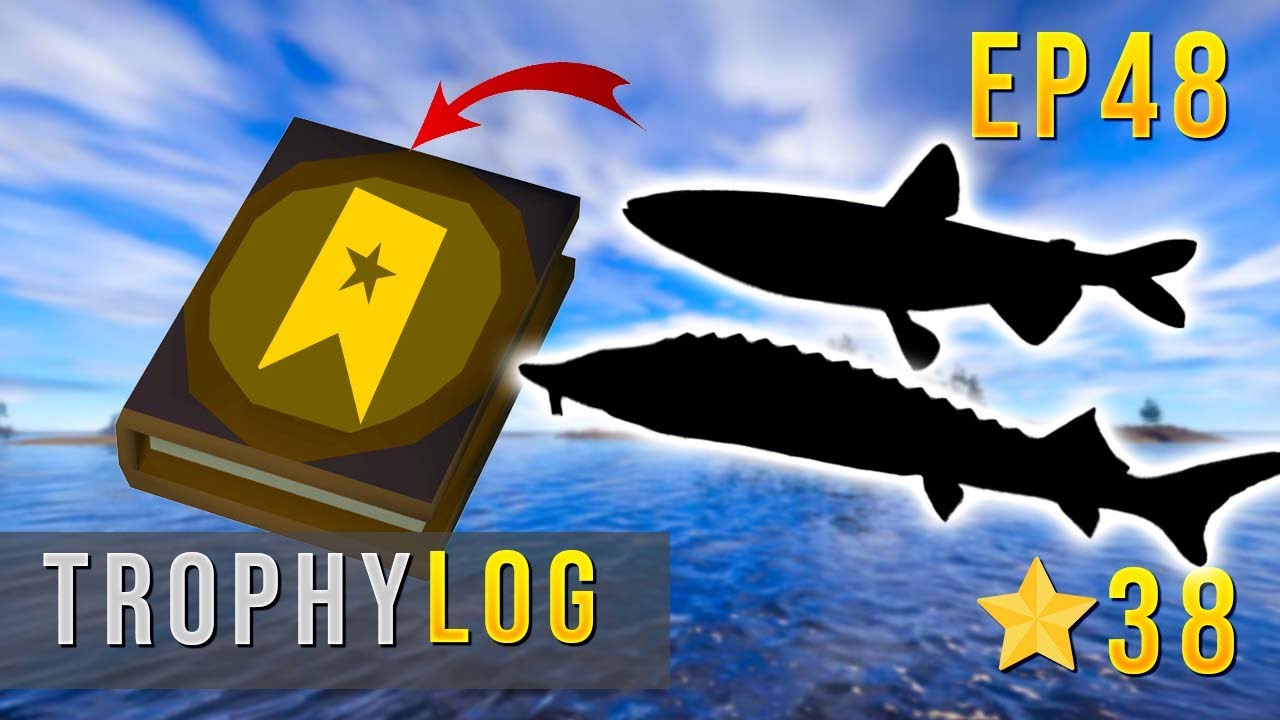Журнал трофеев Russian Fishing 4, эпизод 48 - Эта рыба была гигантской! #rf4 #russianfishing4