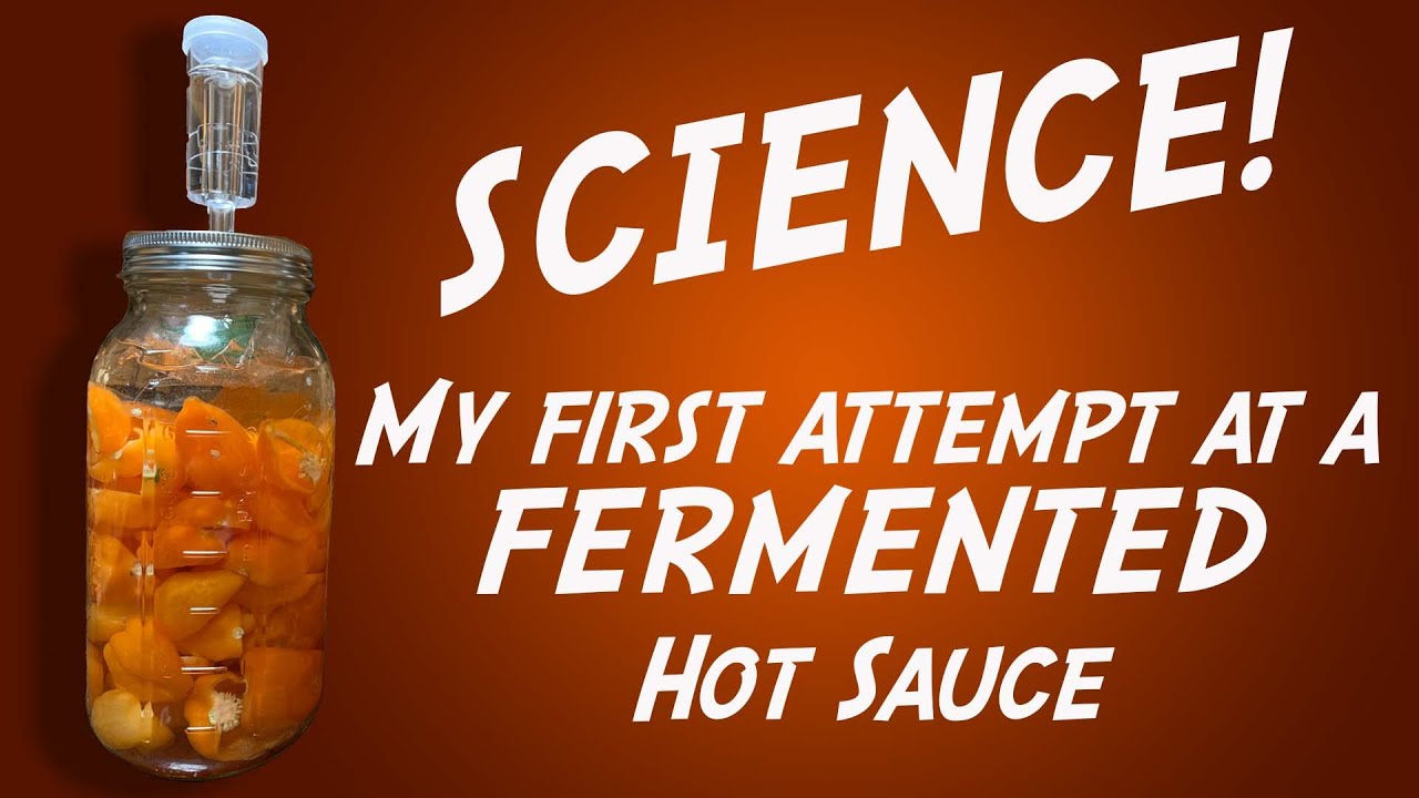Fermented Habanero Mango Hot Sauce