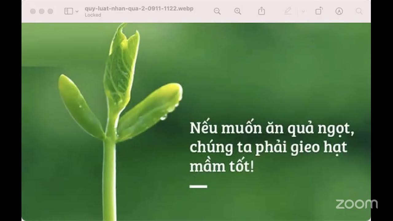 LUẬT NHÂN QUẢ