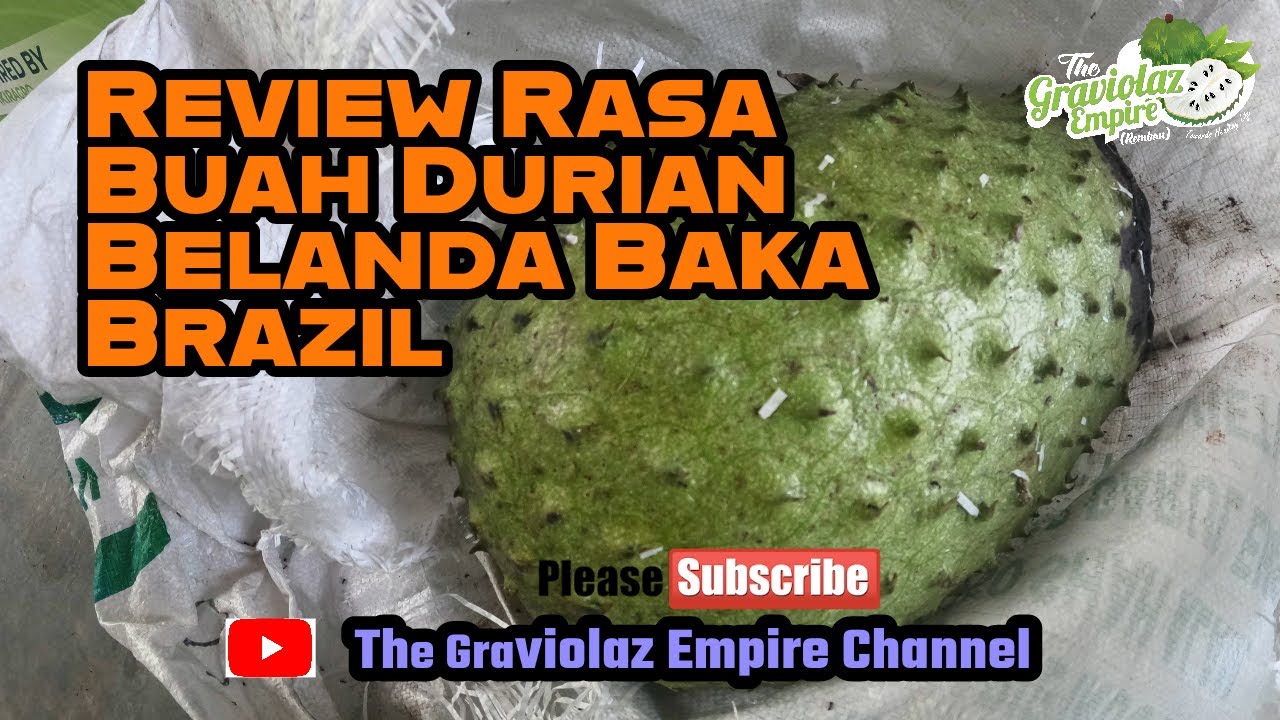 Review Rasa Buah Durian Belanda Baka Brazil❗❗❗#1️⃣6️⃣3️⃣