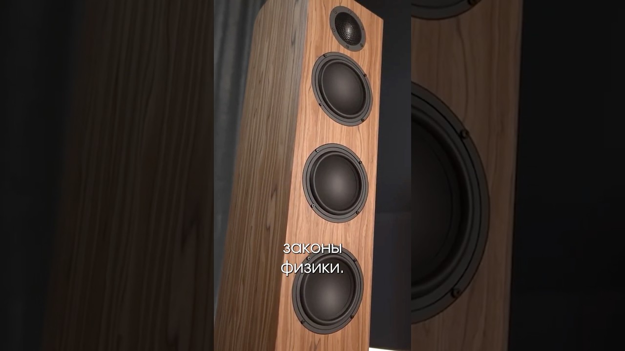 Gauder Capello 100 DV  #audiotechnique #music #podcast #audioplayer #audiophile  #audiohacks