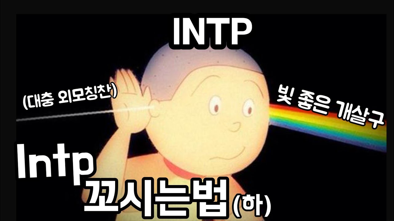 [인학론] Intp 꼬시는법 (하)