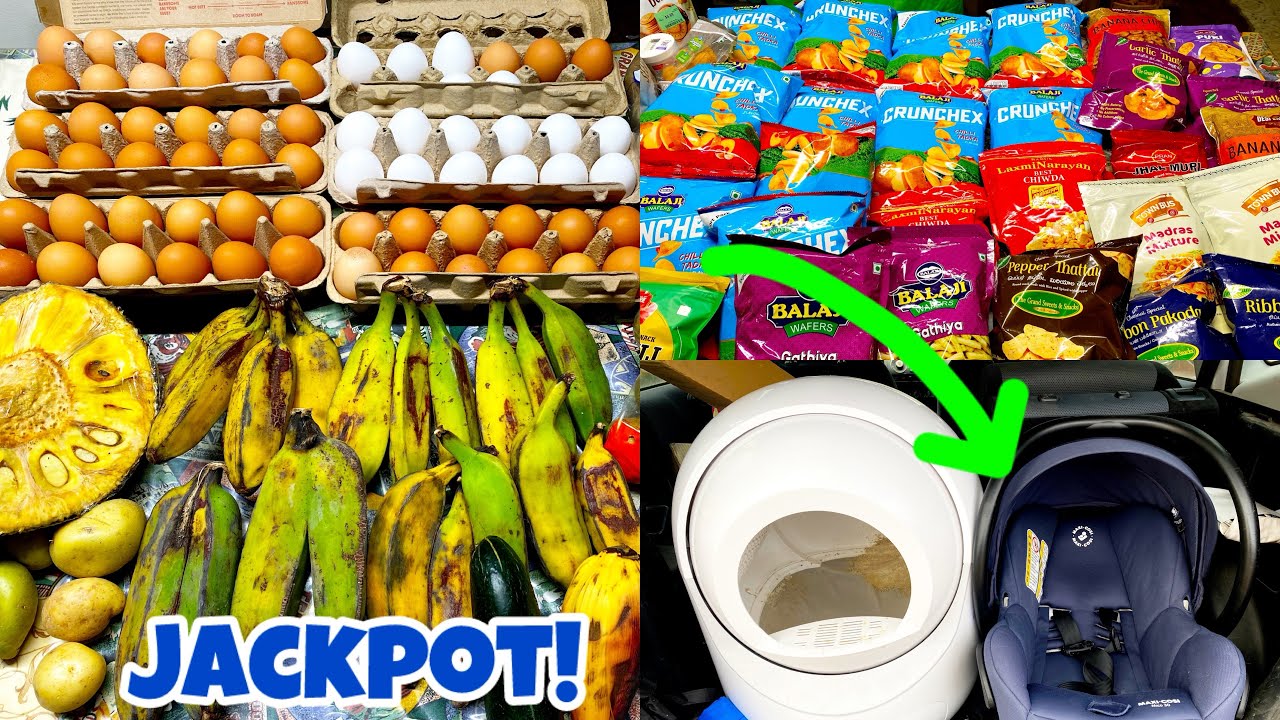 Dumpster Diving 2026 Naka Jackpot sa Car Seat, Snacks, Eggs, Saba at litter Box