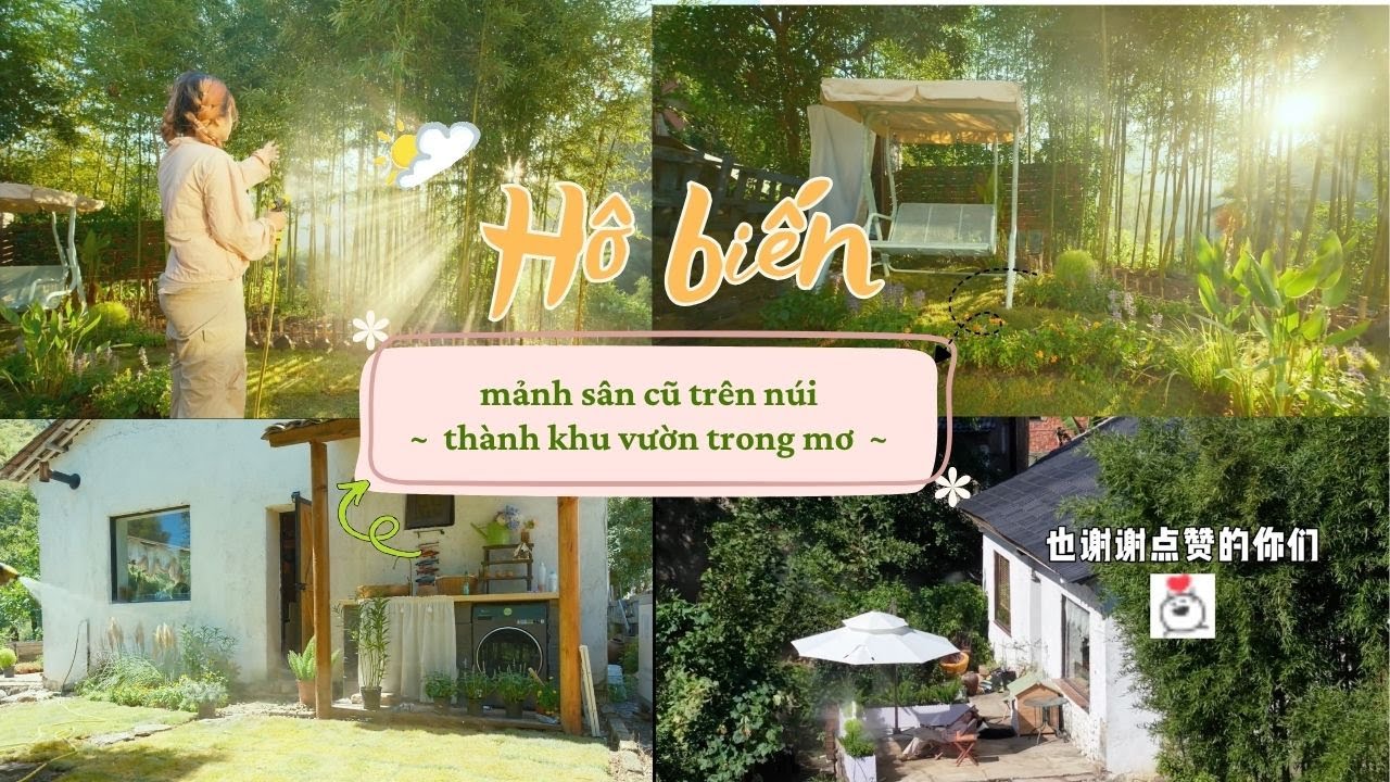 Hô biến mảnh sân cũ trên núi thành khu vườn trong mơ - dựng nên tổ ấm của riêng mình #caitao