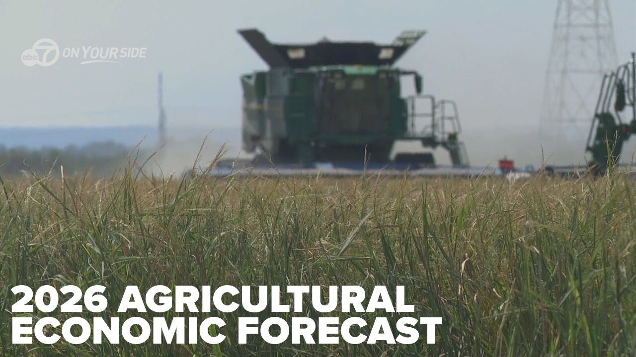 Arkansas farmers face 8% income drop in 2025 amid falling crop prices and bad weather