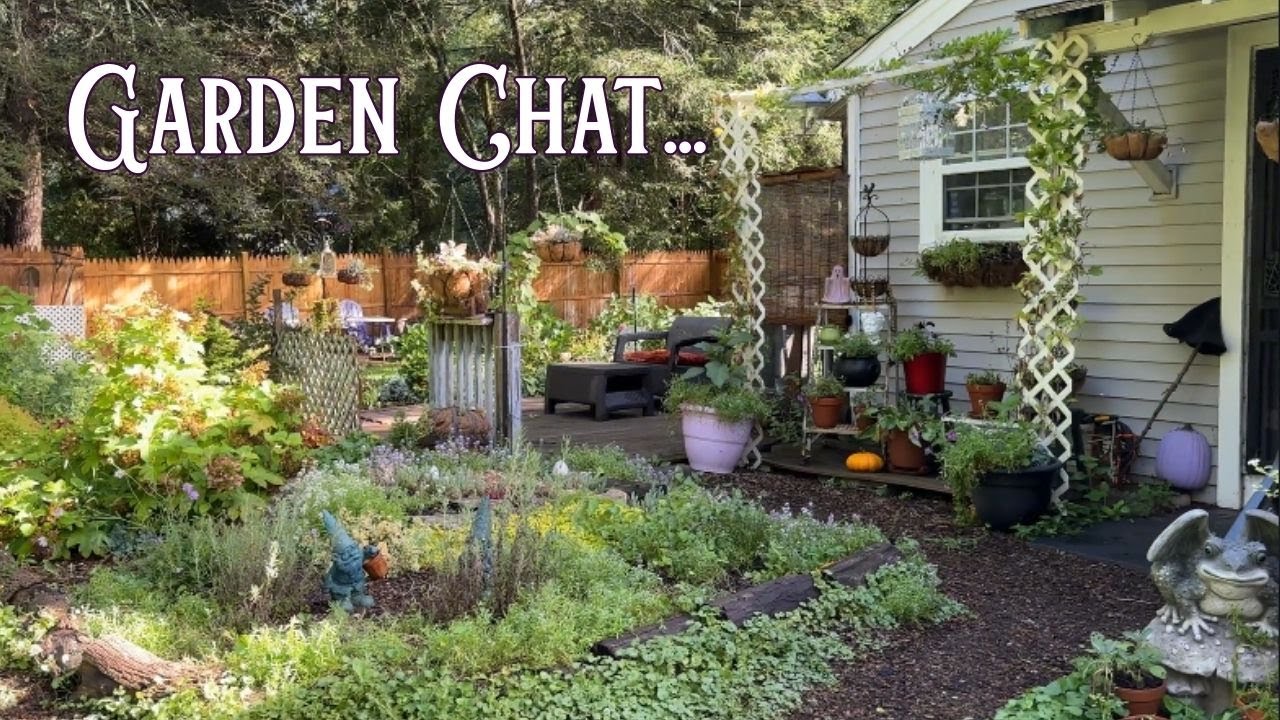 Let's catch up!  Pumpkins are vining and the blooms are abundant, Zone 6 cottage garden chat