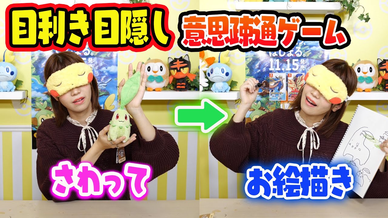ポケモンのぬいぐるみを目利きして目隠しお絵かきにチャレンジしてみた!!意思疎通出来るのか…!?ドッキリ対決も!!