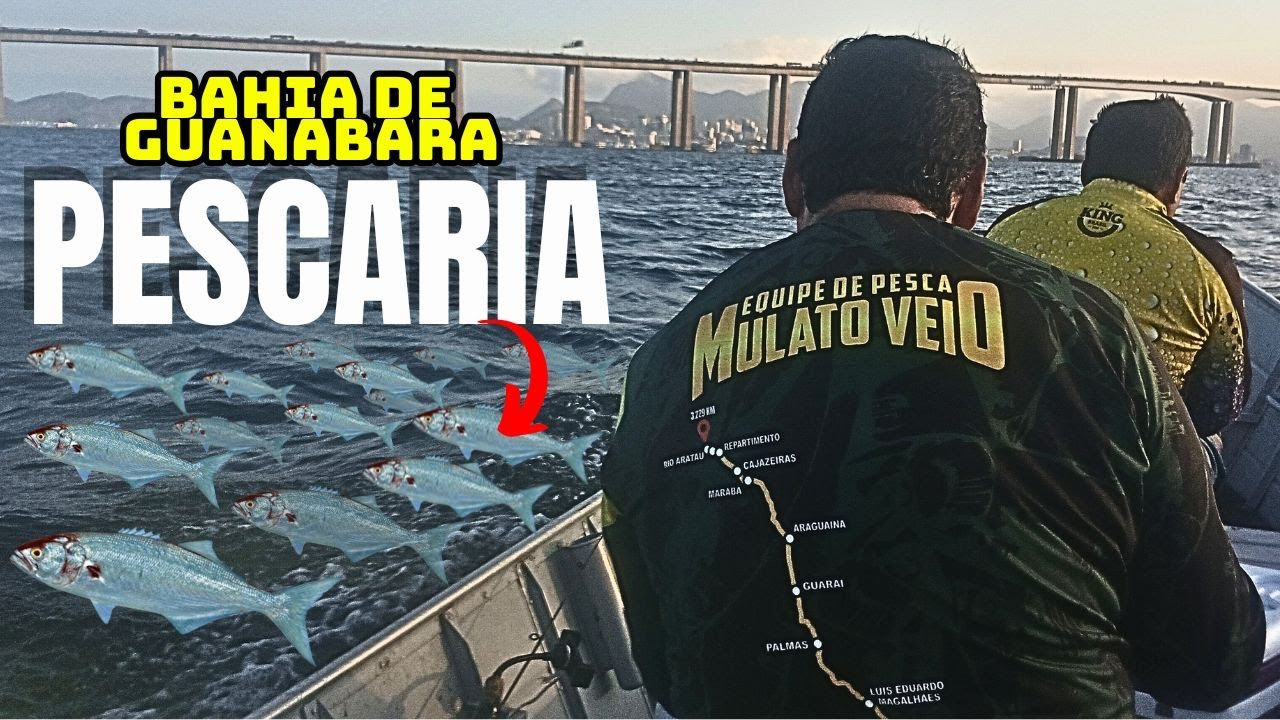 PESCARIA DE ANCHOVA BAHIA DE GUANABARA