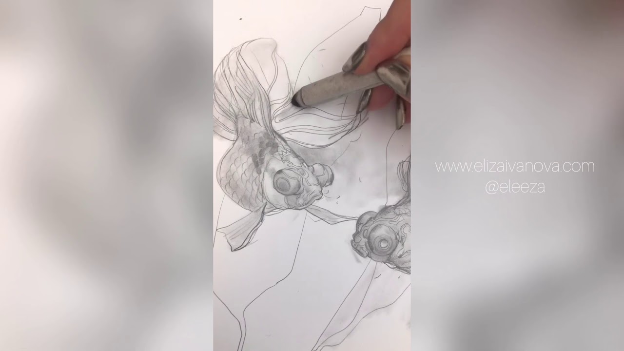 Goldfish Process Video | Eliza Ivanova