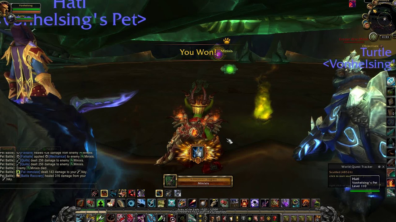 WOW - pet battle Minixis VS  Flying