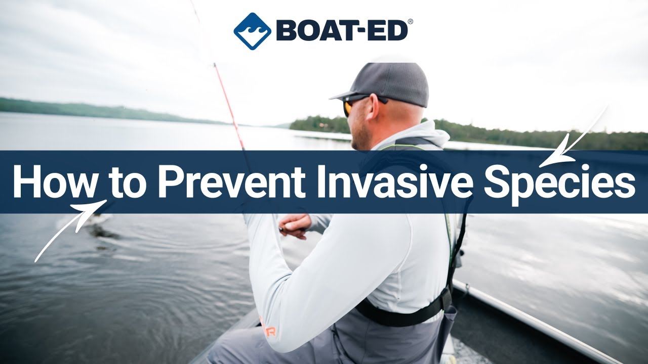 How to Avoid Spreading Aquatic Invasive Species