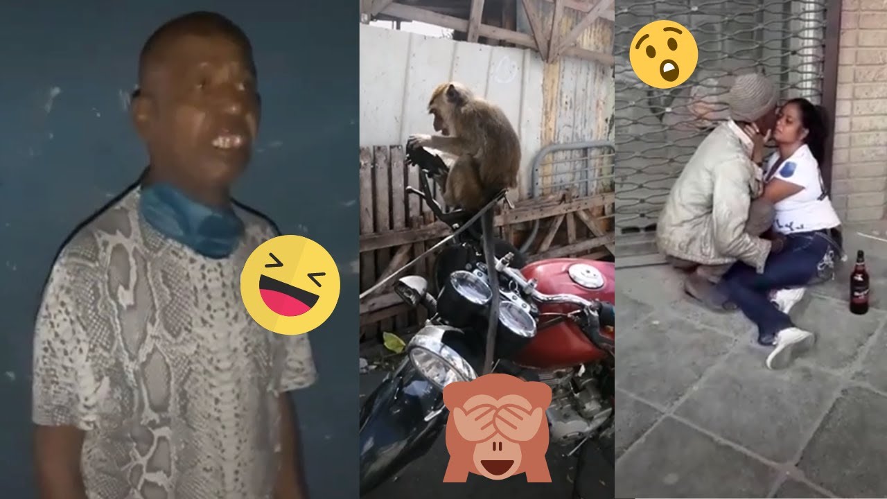 zezi iz back ! | Videos de la semaine | Compilation