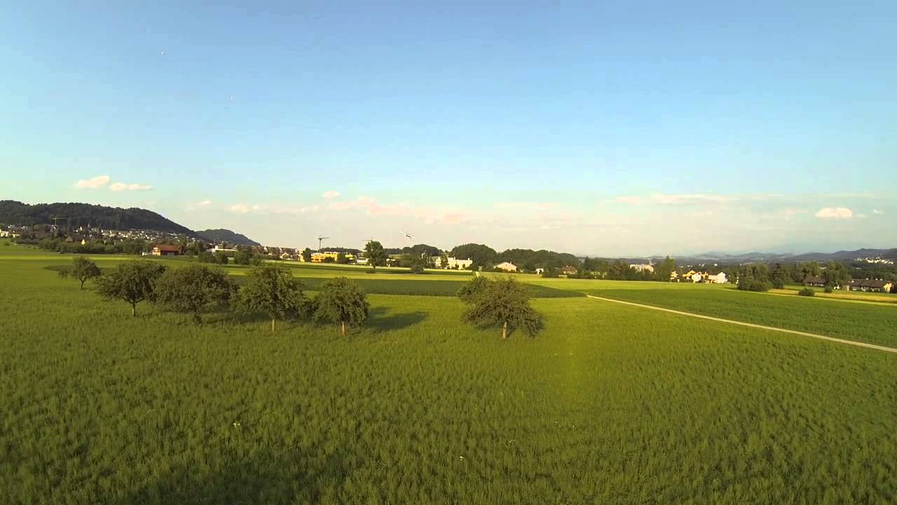 Abendfliegen @ Feldhof (26.06.2014)