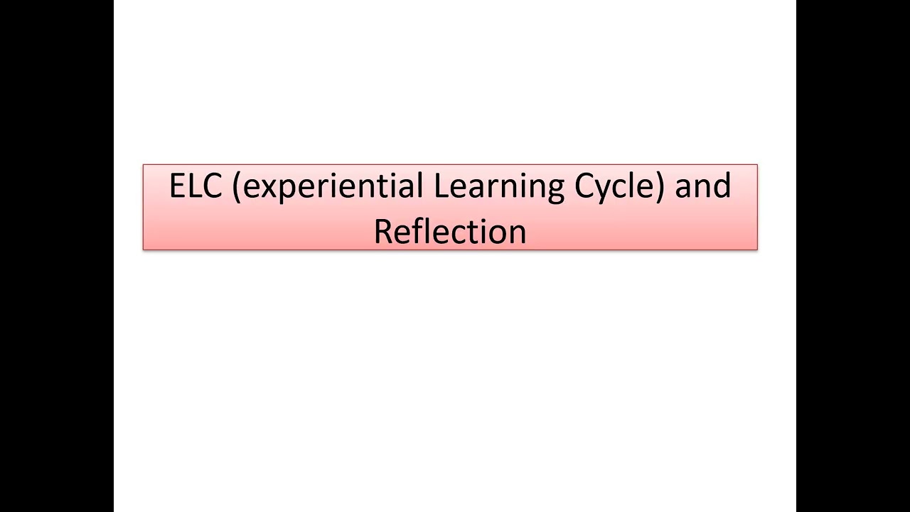 Self Reflection