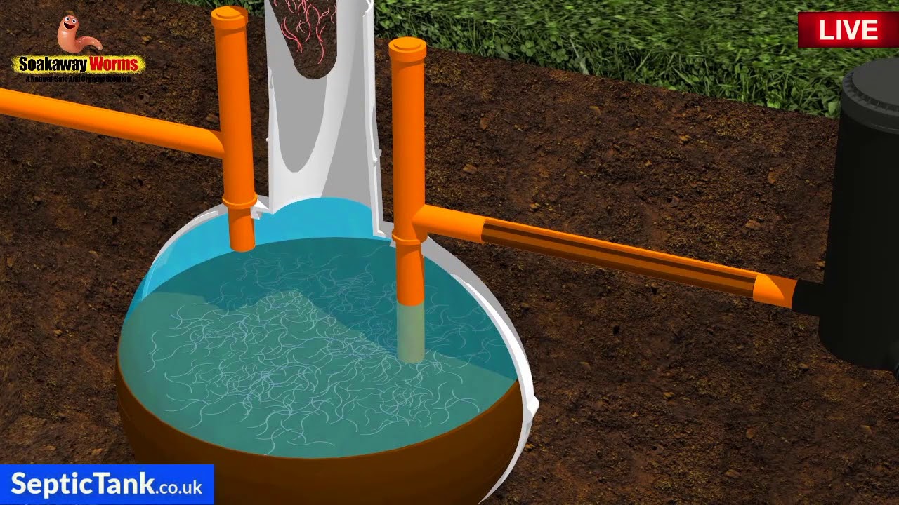 septic tank emptying