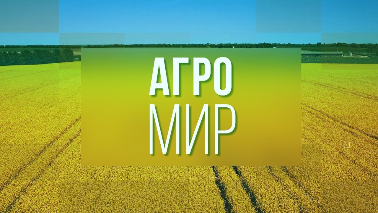 МЕХДВОР - ТЕРРИТОРИЯ КОМФОРТА