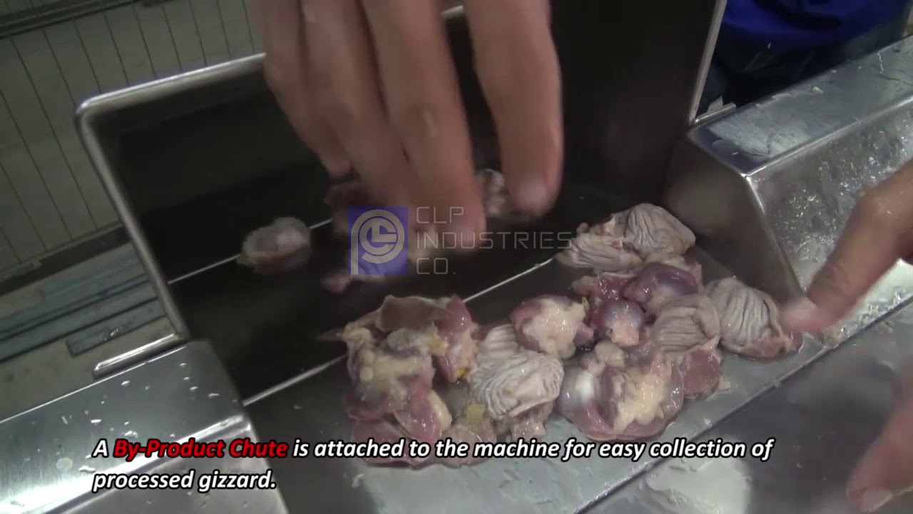 CLP Gizzard Washer/Peeler Machine