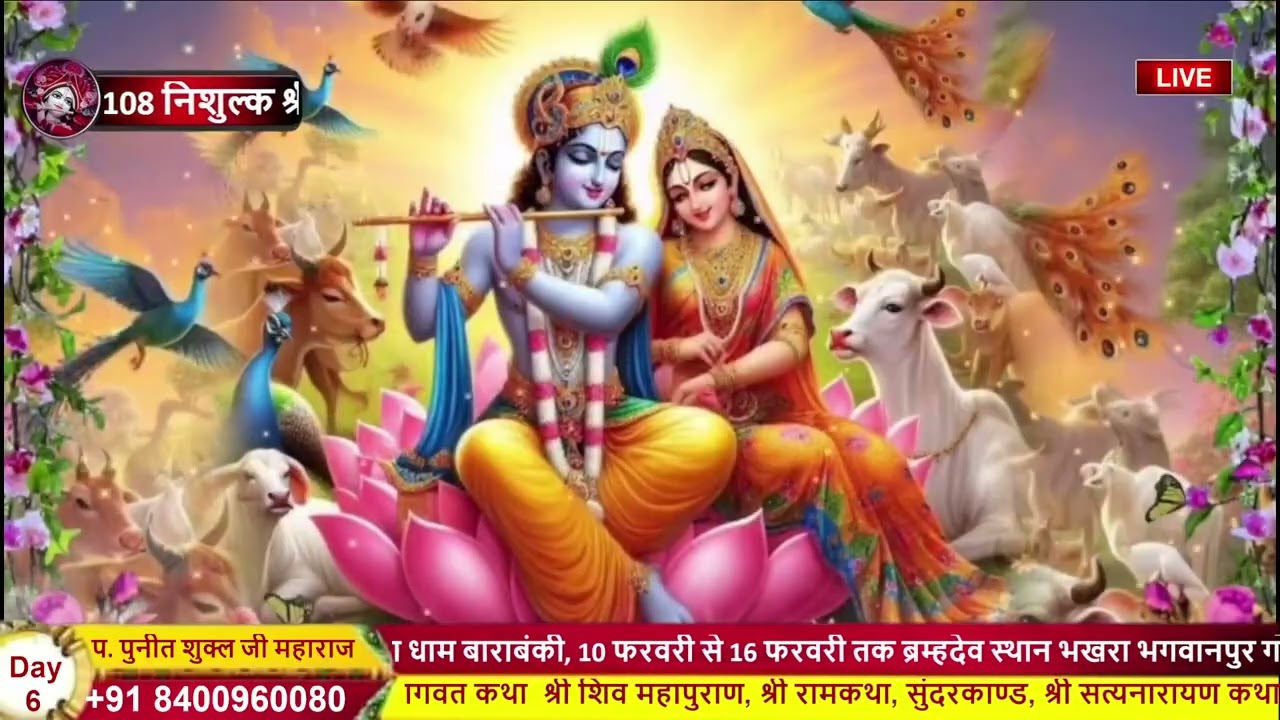 🌺चेतावनी भजन जब प्राण🌹 निकल जाएगा संसार छूट🍁 जाएगा राहुल महाराज जी 🌻(7388855060)🌺
